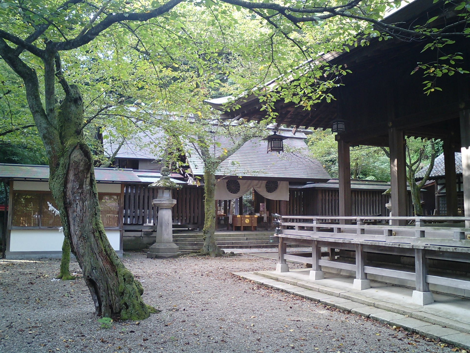 金崎宮