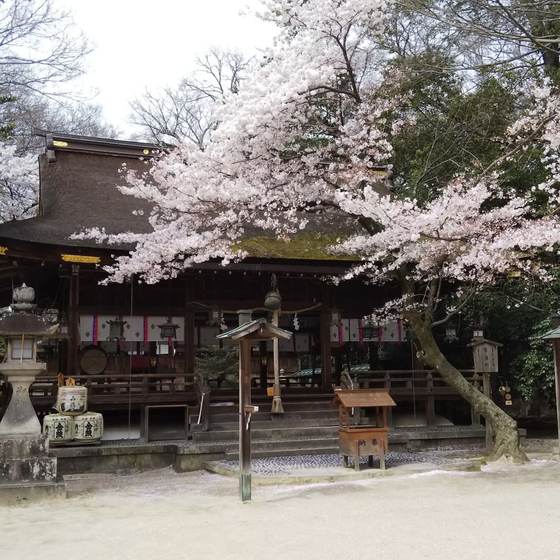 廣瀬大社