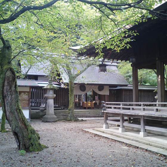 金崎宮