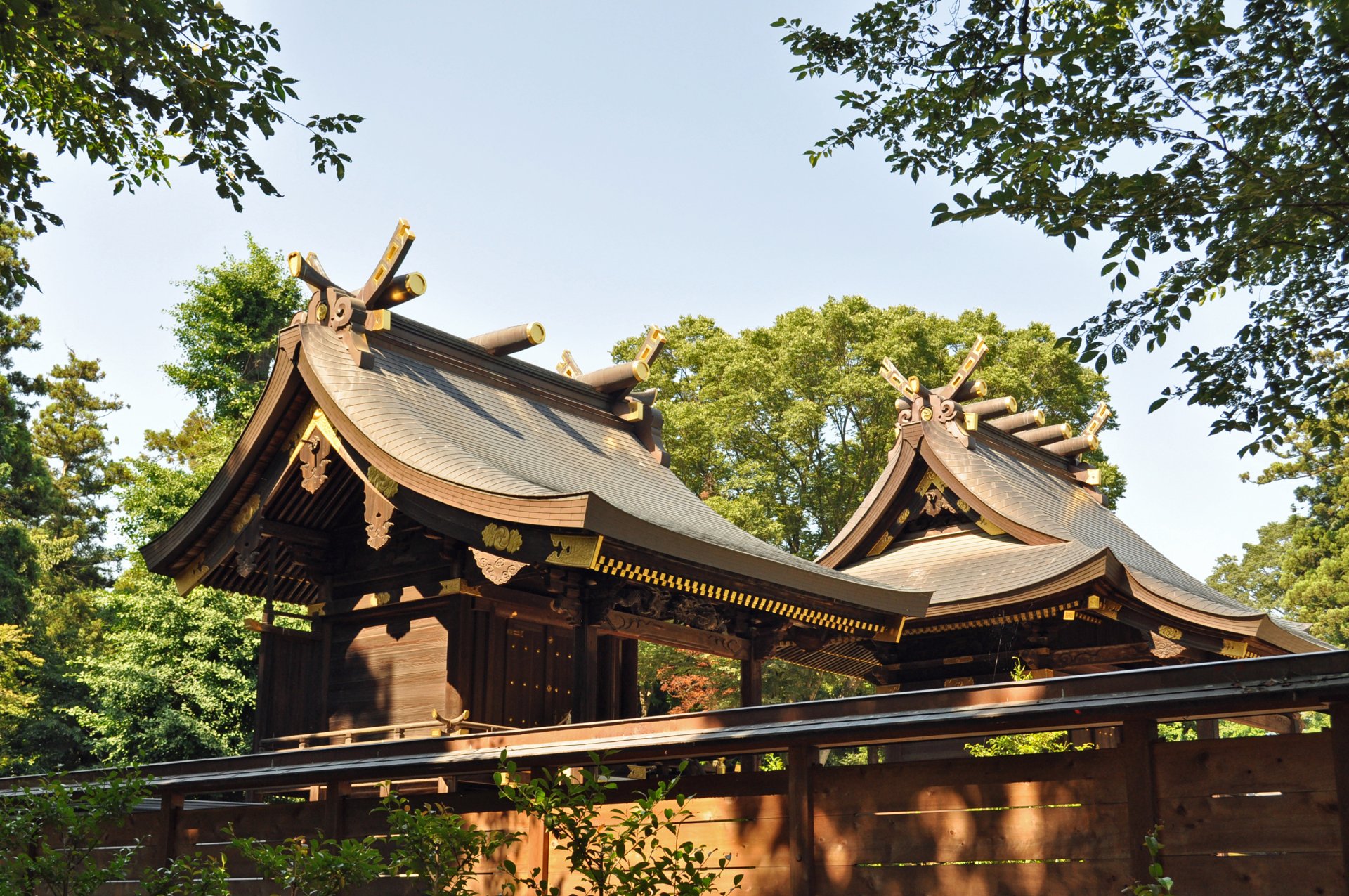 鷲宮神社